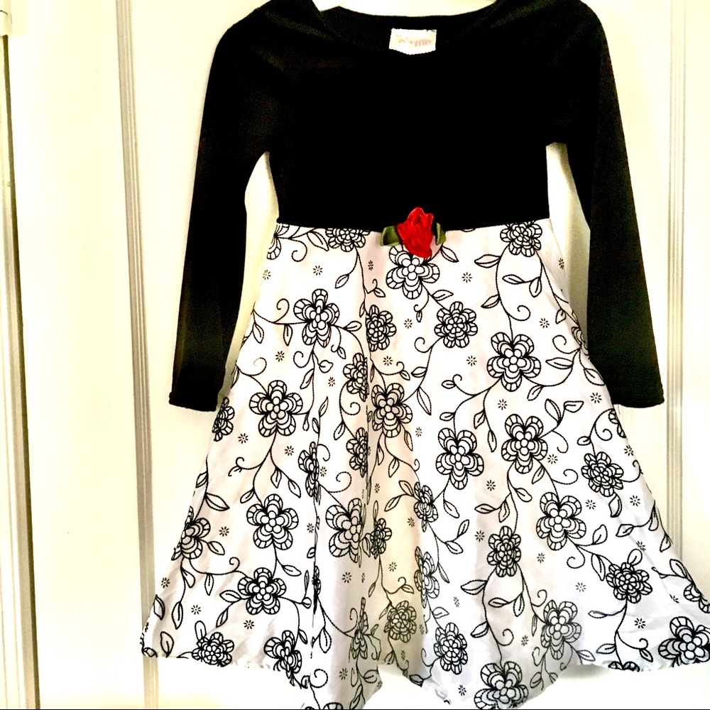 Beautiful classic velvet and taffeta-look dress!